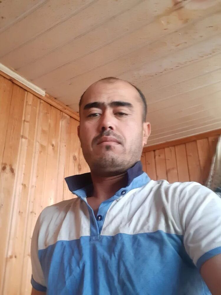  46095325  , 43 ,    