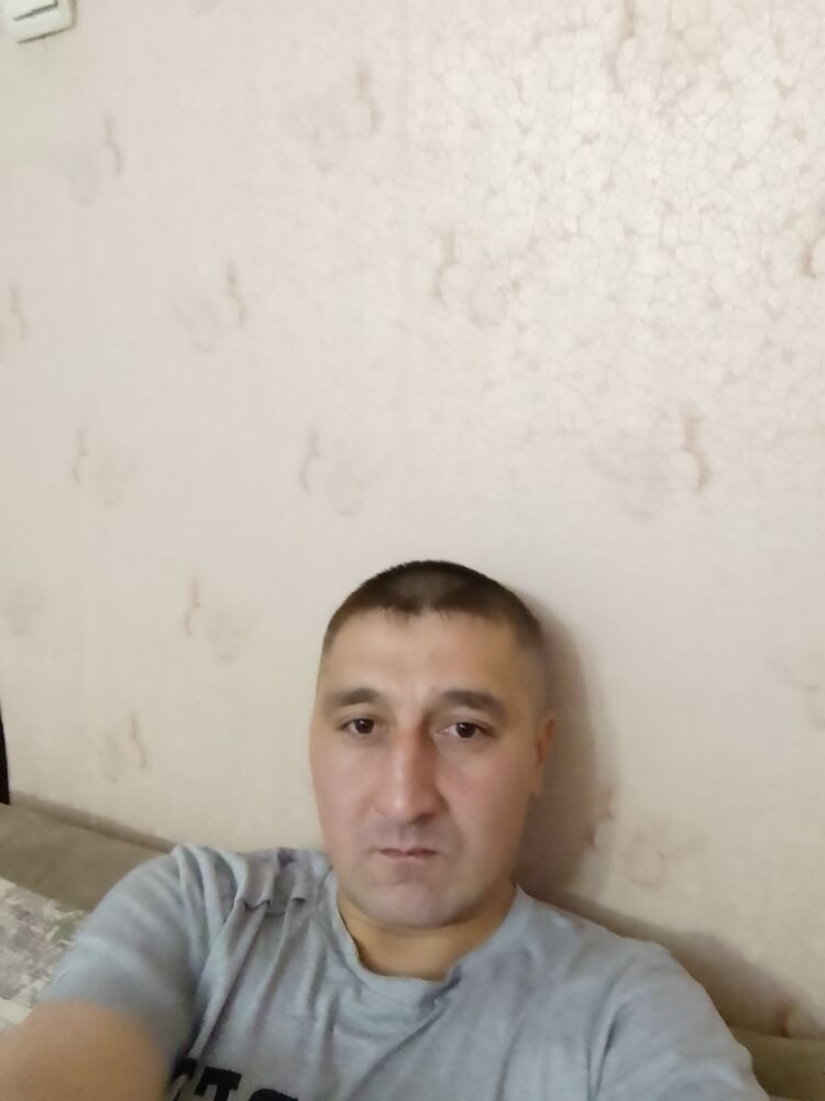 ���� 31116665 ������� �����, 36 ���, ���� ���������� � ���