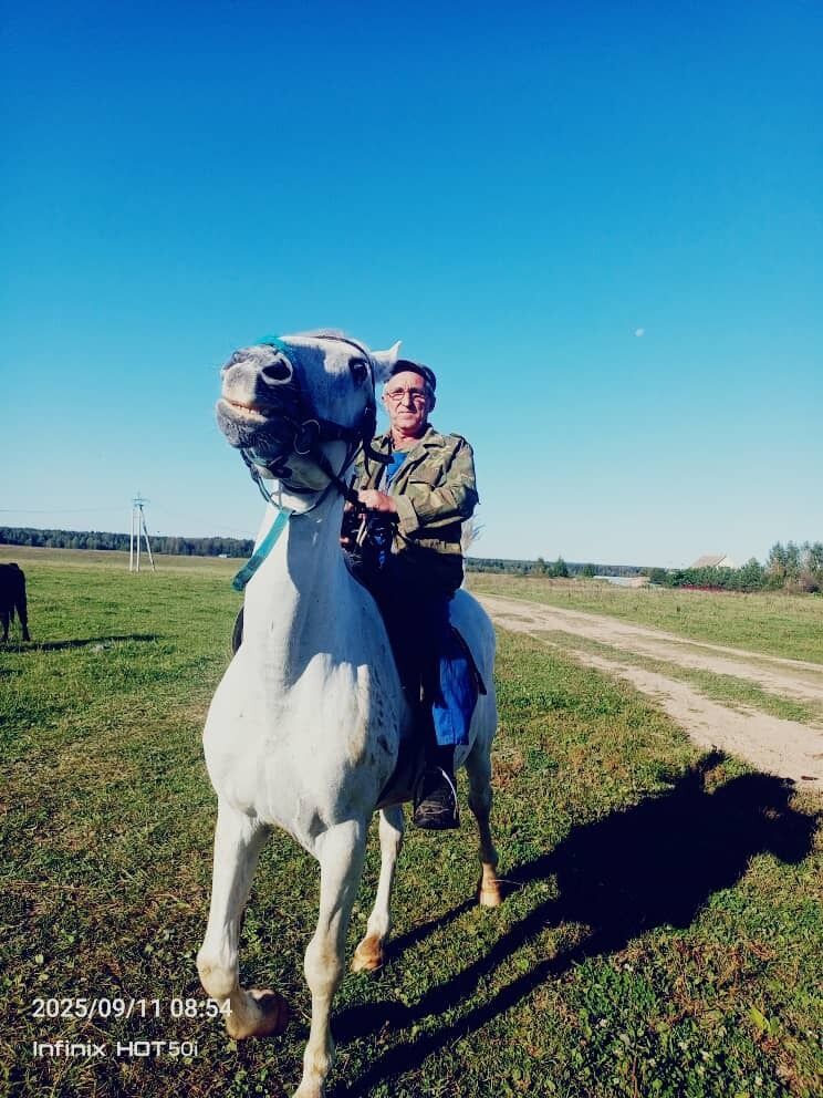 ���������� ������� �����, ���� ������� ������, 63 ����, ������������ ��� ������, ����� � ���������