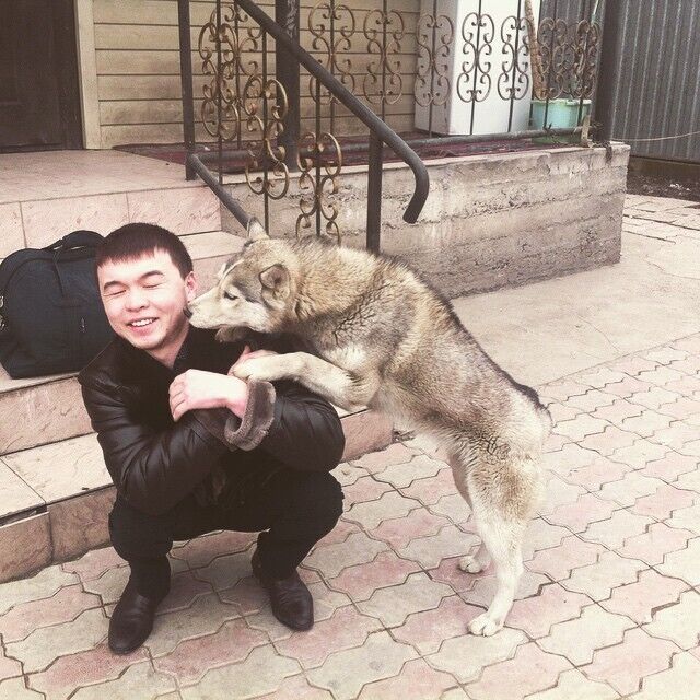 ���� 44664125 ������� �����, 32 ����, ���� ���������� � ������