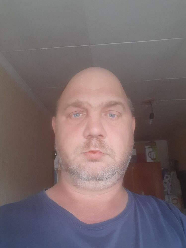 43193805  , 44 ,    