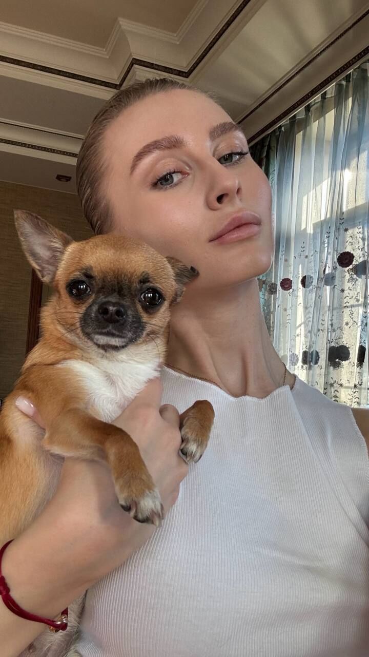 ���� 42997235 ������� ���������, 31 ���, ���� ���������� � �����-����������