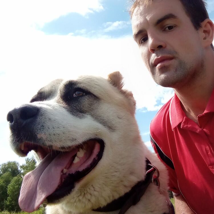 ���������� ������, ���� ������� �����, 36 ���, ������������ ��� ������, ����� � ���������