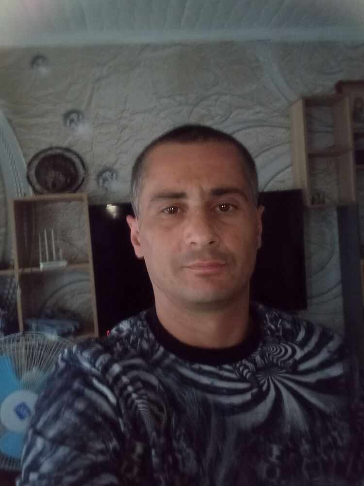  53565415  , 38 ,    