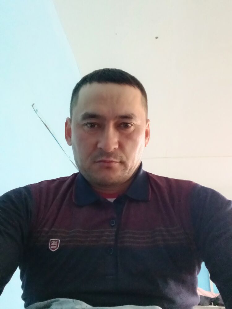  28357495  , 36 ,    -