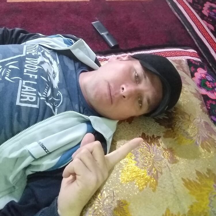 ���� 18381655 ������� ������ ��, 41 ���, ���� ���������� � ��������