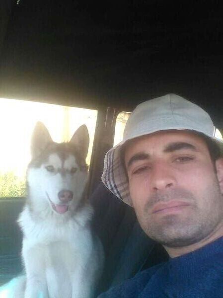 ���� 22722235 ������� Hovo, 36 ���, ���� ���������� � �������