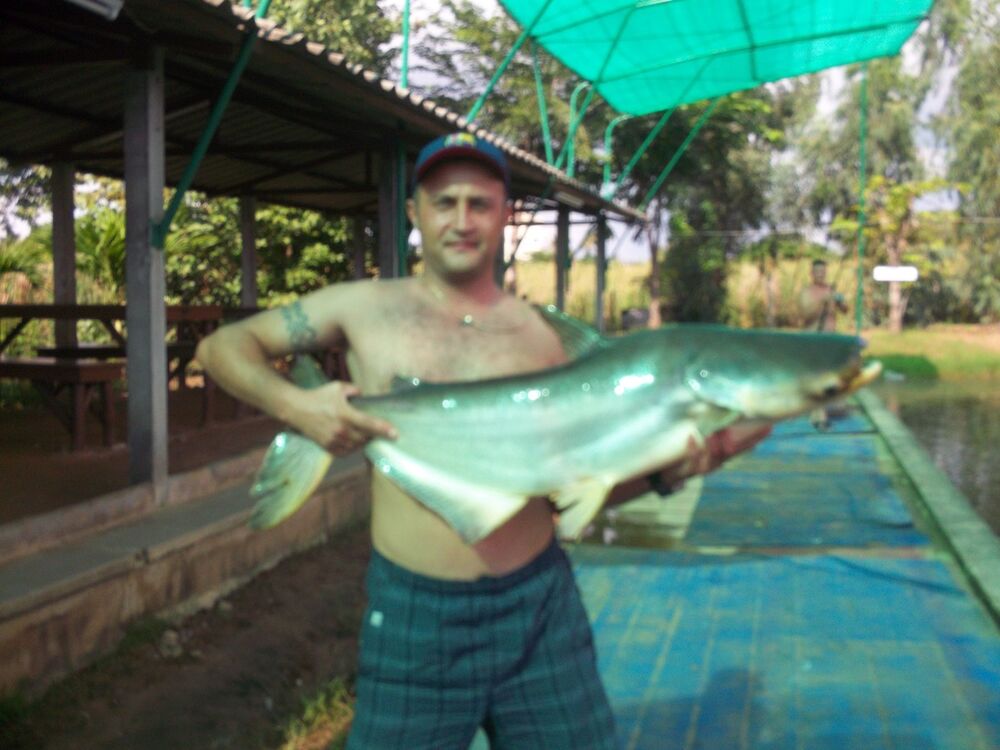  ,   , 44 ,   