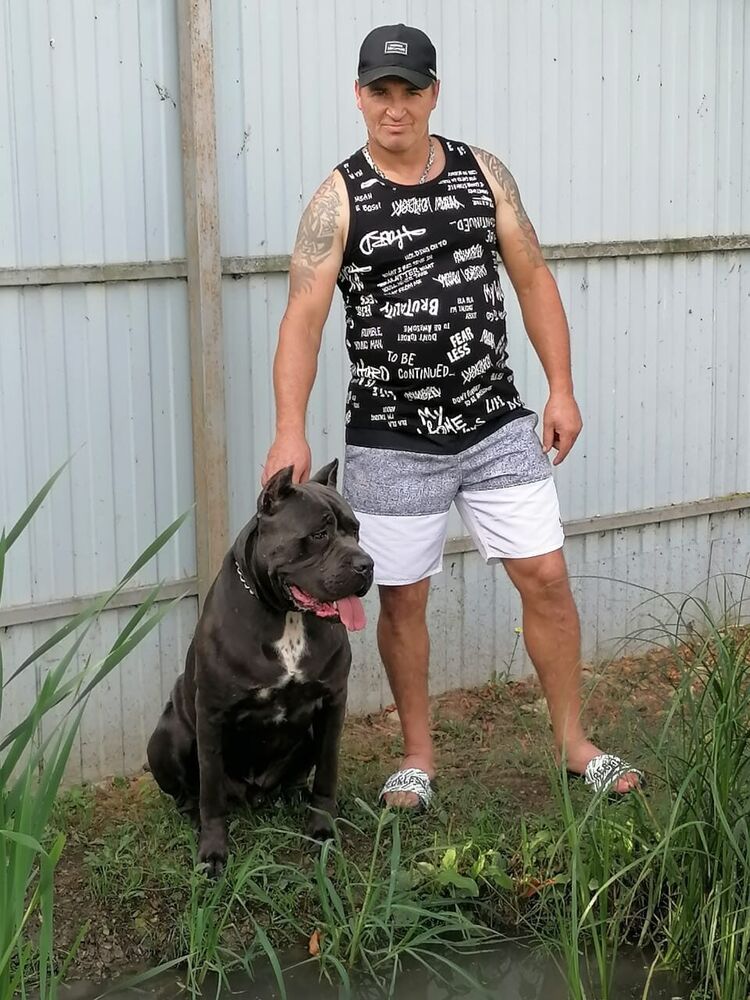 ���� 55185315 ������� ����, 50 ���, ���� ���������� � ����������