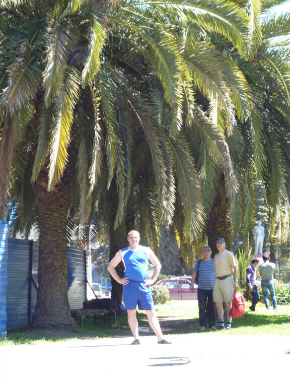 ���������� ������������, ���� ������� �����, 45 ���, ������������ ��� ������, ����� � ���������