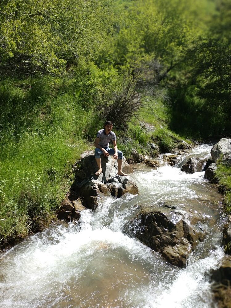  ,   Dostonchik, 34 ,   ,   , c 
