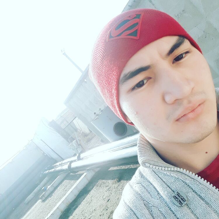  38928165  , 28 ,    