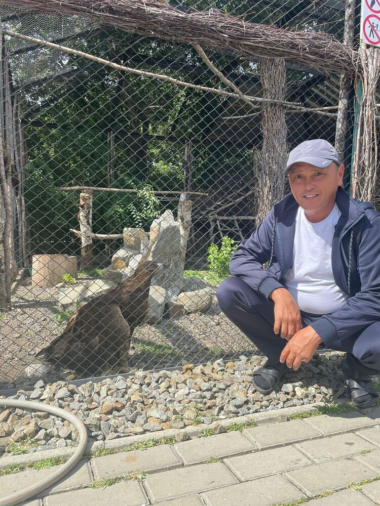  50437885  , 44 ,    -