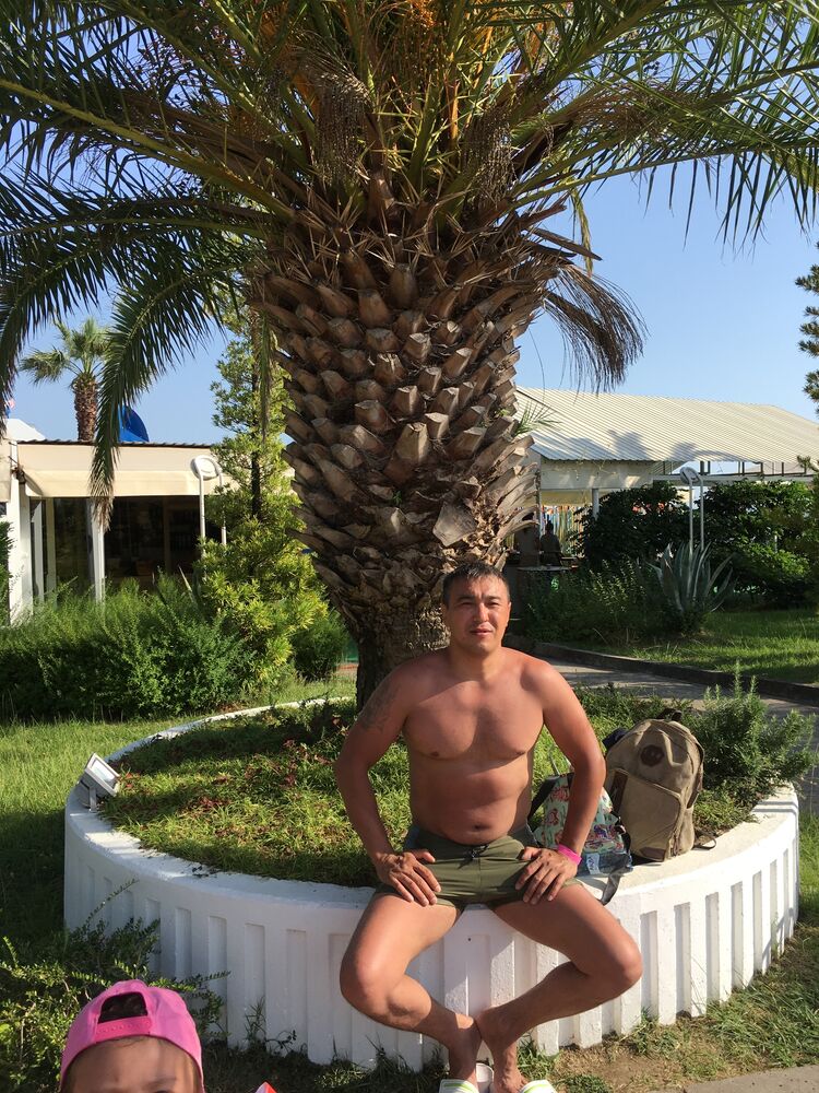 ���� 24609195 ������� ������, 36 ���, ���� ���������� � ��������