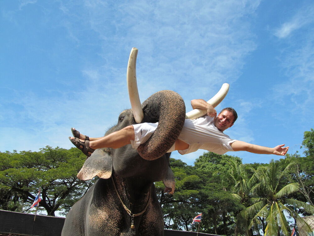 ���������� ���������, ���� ������� ����������, 50 ���, ������������ ��� ����� � ���������, c�������� ���������