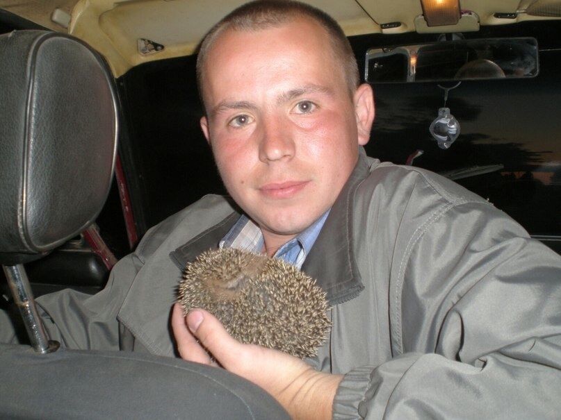 ���� 49284115 ������� �������, 42 ����, ���� ���������� � ���