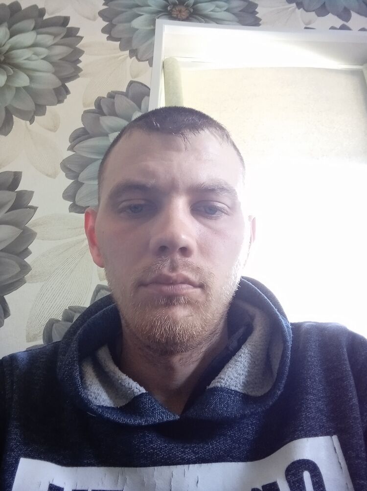  42262225  , 28 ,    