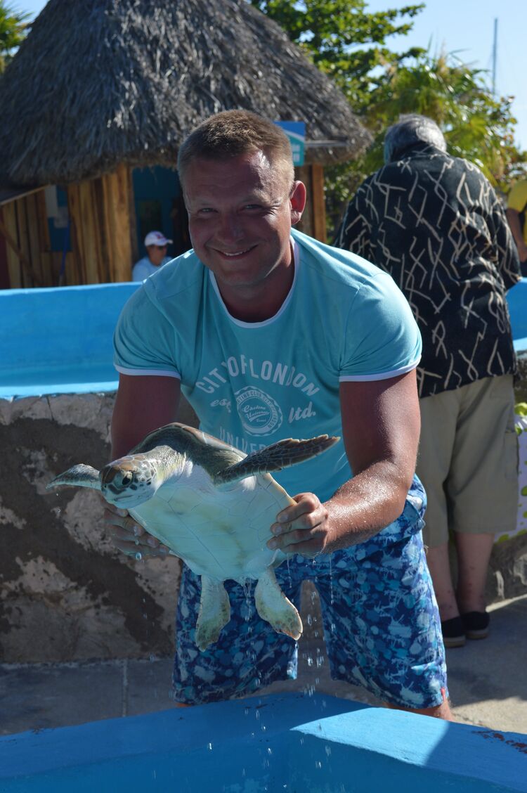 ���������� ������, ���� ������� �������, 43 ����, ������������ ��� ���������