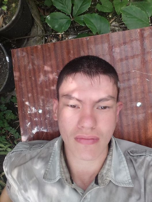  14407785  , 26 ,    