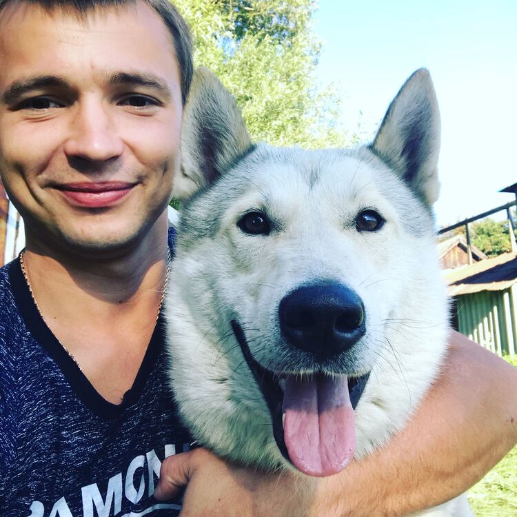 ���� 26343665 ������� ������, 34 ����, ���� ���������� � �������