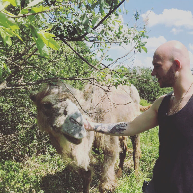 ���� 31466545 ������� �����, 28 ���, ���� ���������� � �������������