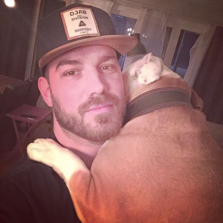  53900305  , 34 ,    -