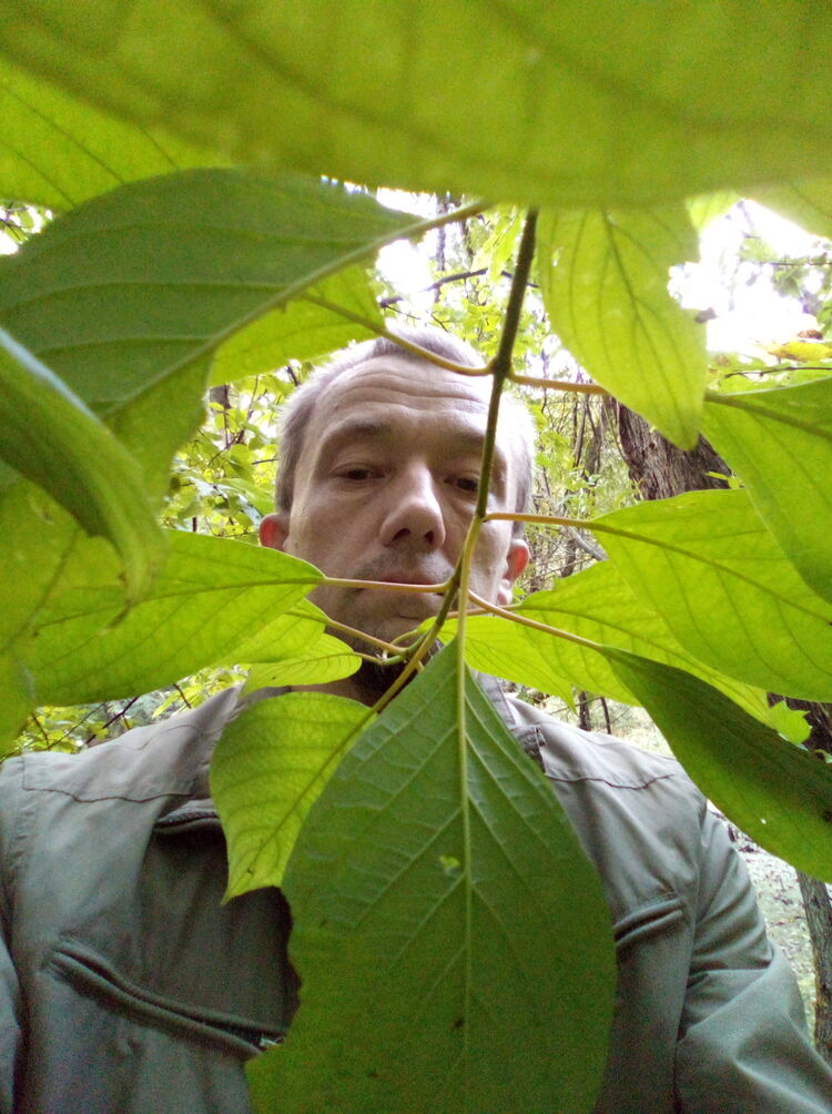 ���������� ������, ���� ������� �������, 40 ���, ������������ ��� ������, ����� � ���������, c�������� ���������, ���������