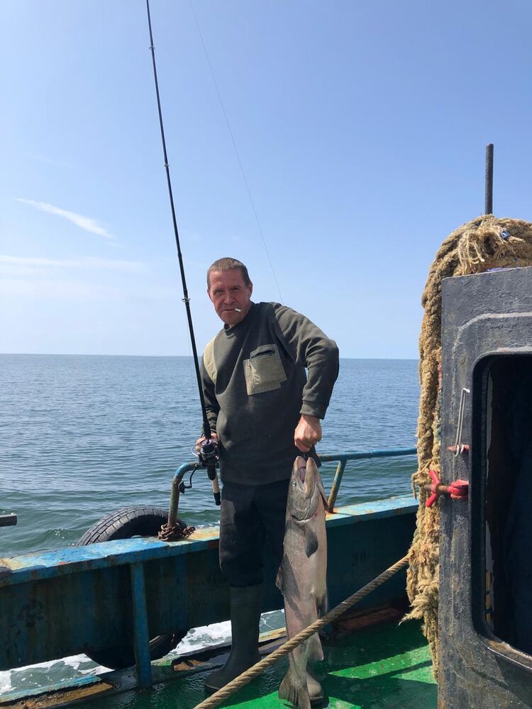  50242275  , 56 ,    -