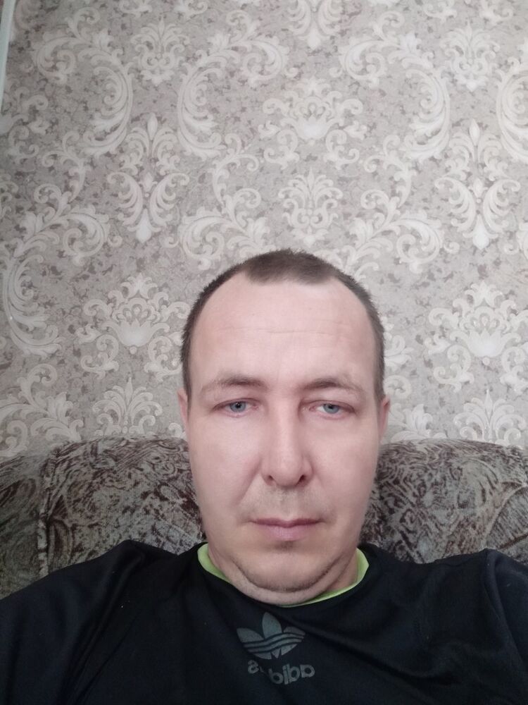  15309185  , 49 ,    -