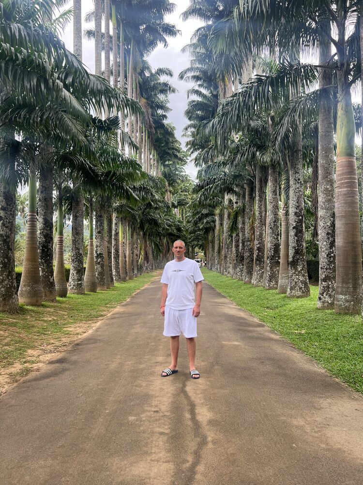 ���� 55335445 ������� ���������, 30 ���, ���� ���������� � �������