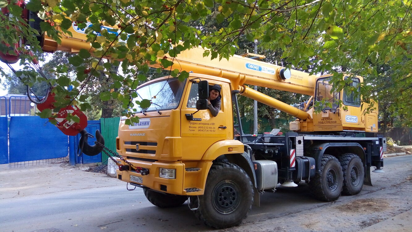 ���� 36118285 ������� �������, 35 ���, ���� ���������� � ��������