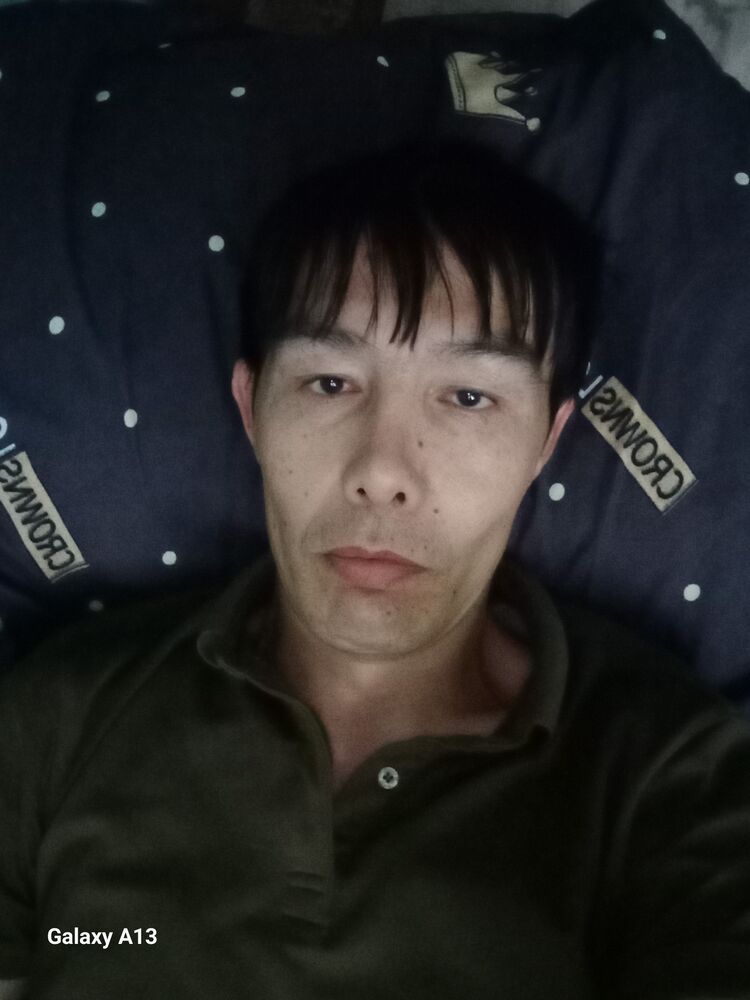  49589535  , 41 ,    -