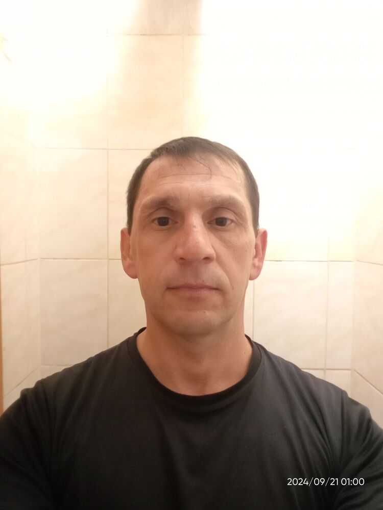  50311695  , 41 ,    --