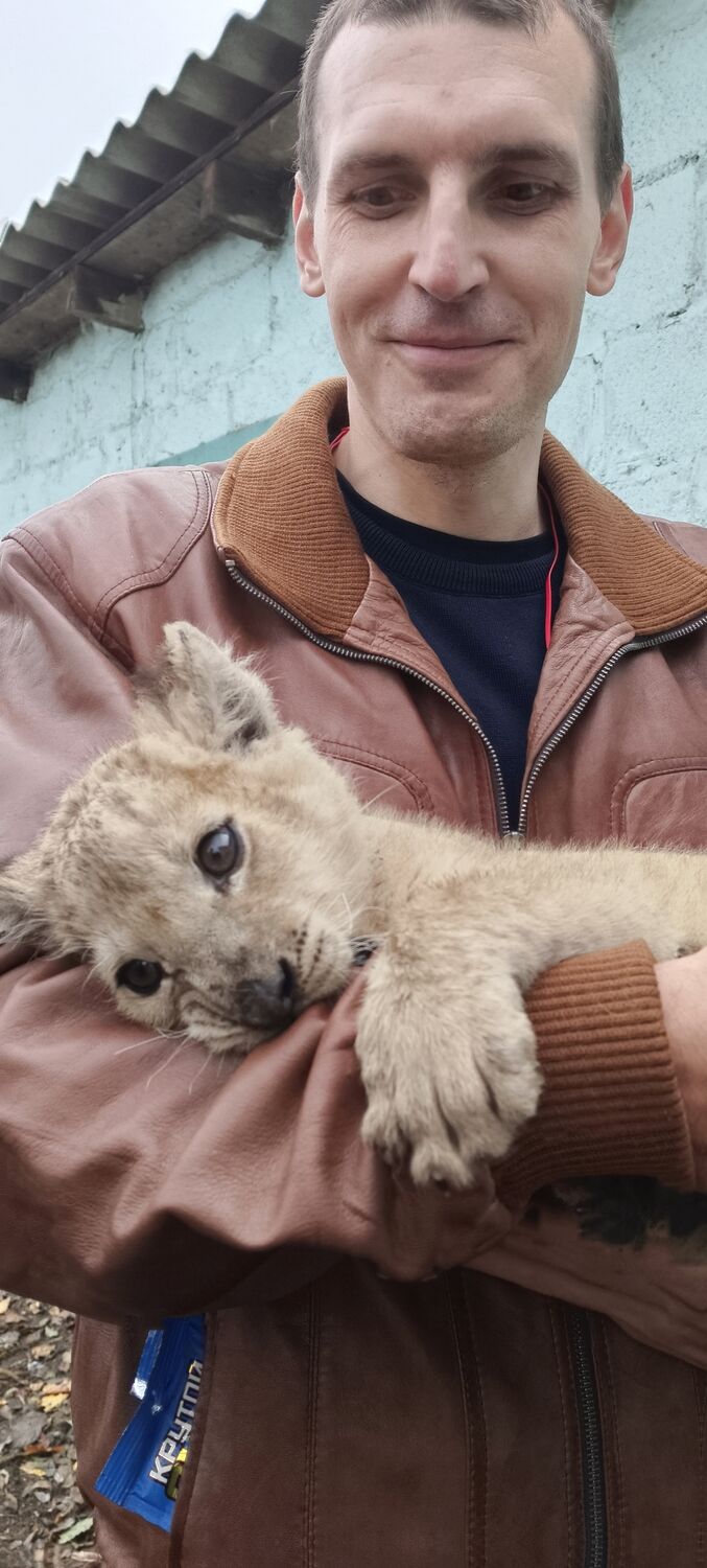 ���������� ������-��-����, ���� ������� �����, 38 ���, ������������ ��� ������, ����� � ���������, c�������� ���������