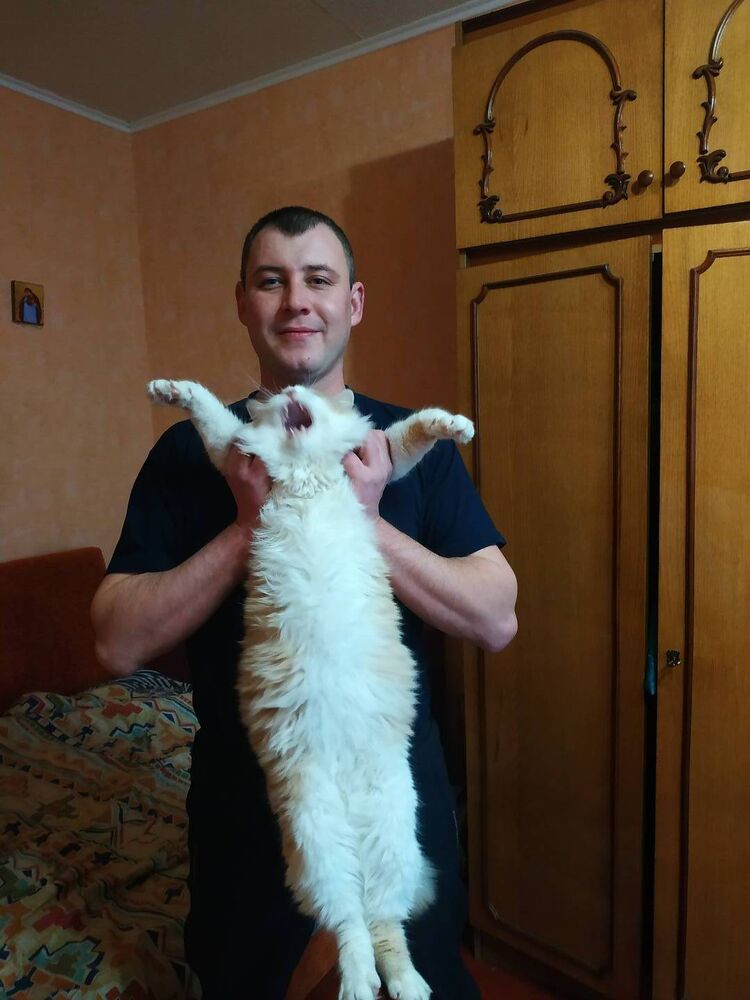 ���������� �������, ���� ������� �����, 36 ���, ������������ ��� ������, ����� � ���������