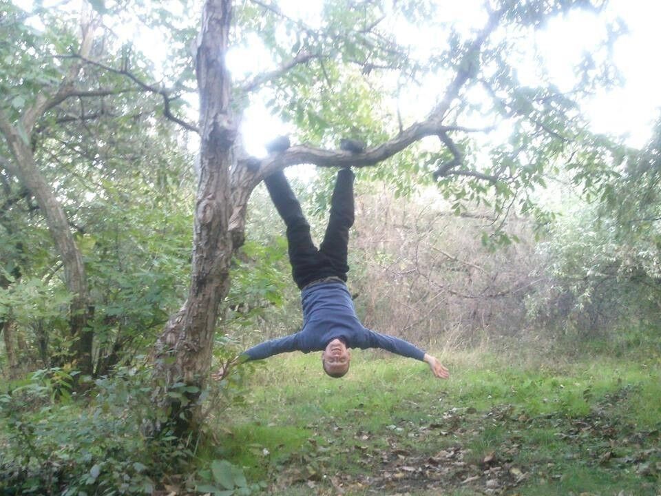 ���� 16895305 ������� �������, 44 ����, ���� ���������� � ������