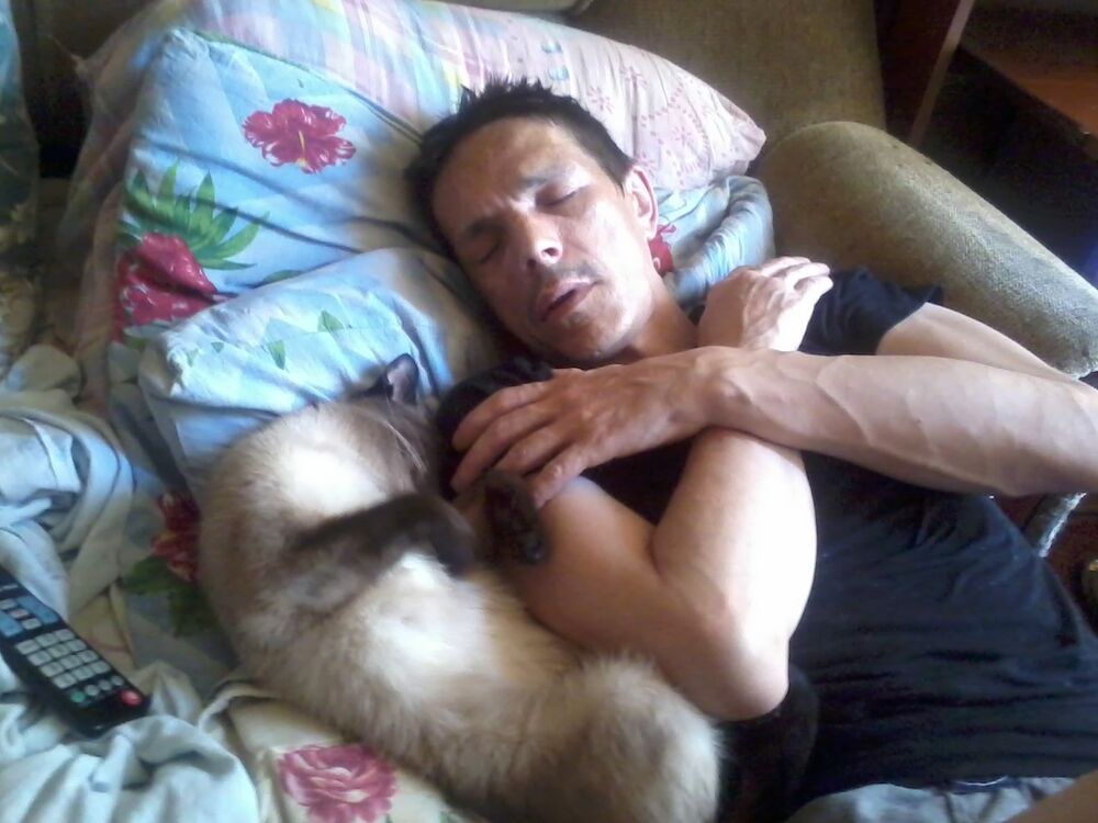   ,   , 53 ,     , c , 