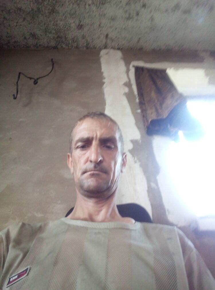 ���� 37331265 ������� �������, 44 ����, ���� ���������� � ������ ���������