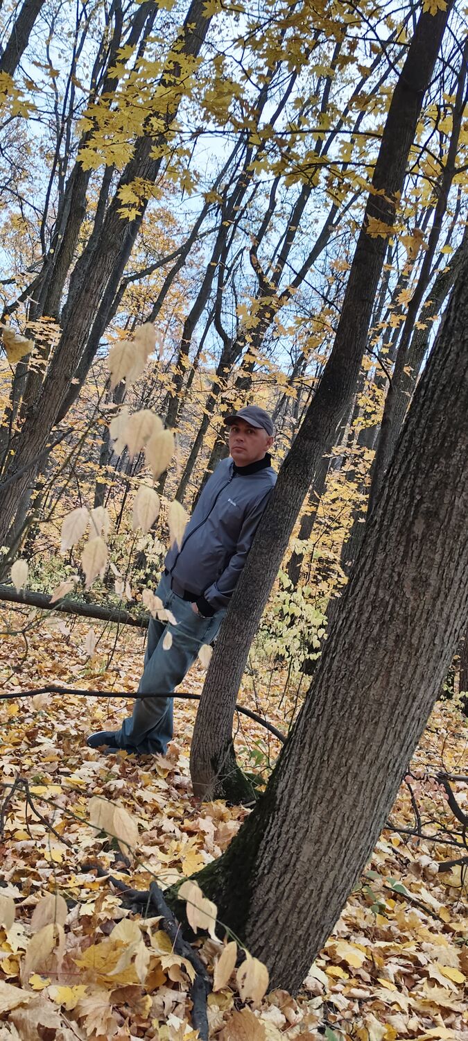 ���� 55053095 ������� ������, 42 ����, ���� ���������� � ��������