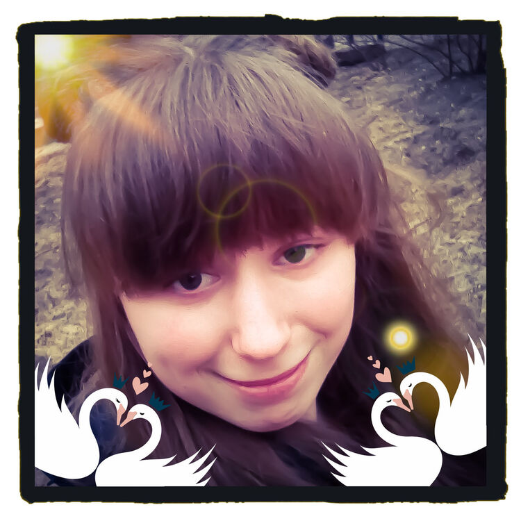  ,   , 24 ,  