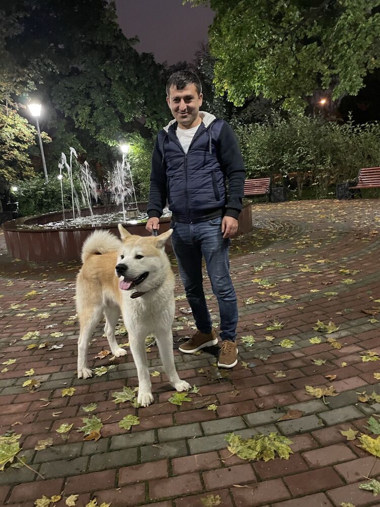 ���������� ������, ���� ������� ������, 37 ���, ������������ ��� ������