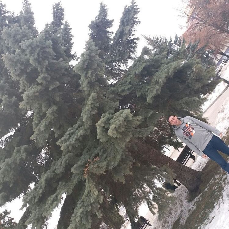 ���������� ������, ���� ������� Norayraper, 42 ����, ������������ ��� ������, ����� � ���������, c�������� ���������