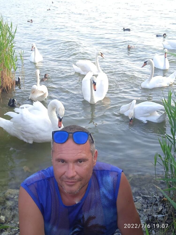 ���� 33612755 ������� ��������, 46 ���, ���� ���������� � �����������