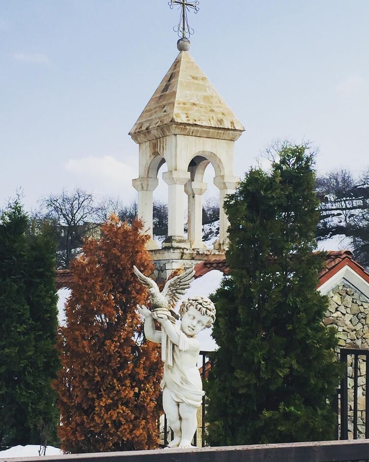 ���� 40731195 ����� Paylak, 23 ����, ���� ���������� � ������