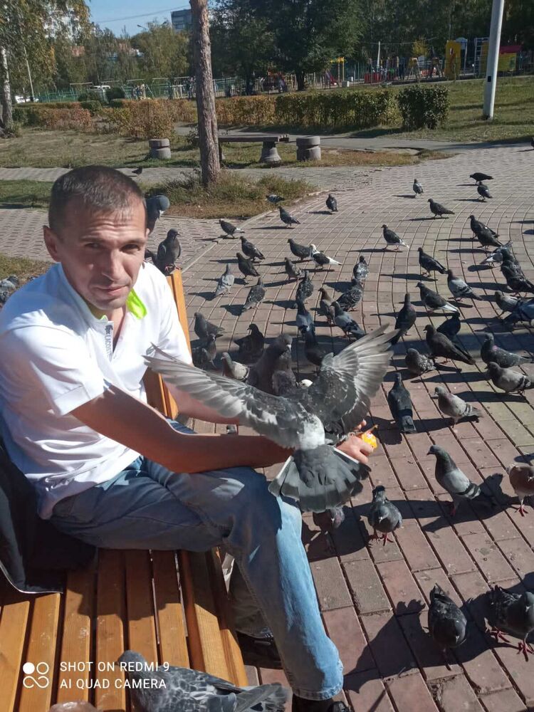 ���� 31878115 ������� ������, 35 ���, ���� ���������� � �����