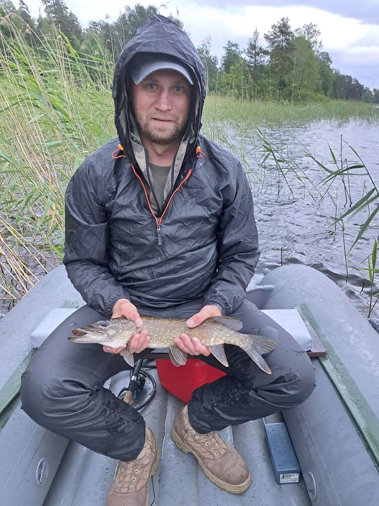 ���������� �����-���������, ���� ������� ���������, 41 ���, ������������ ��� ������, ����� � ���������