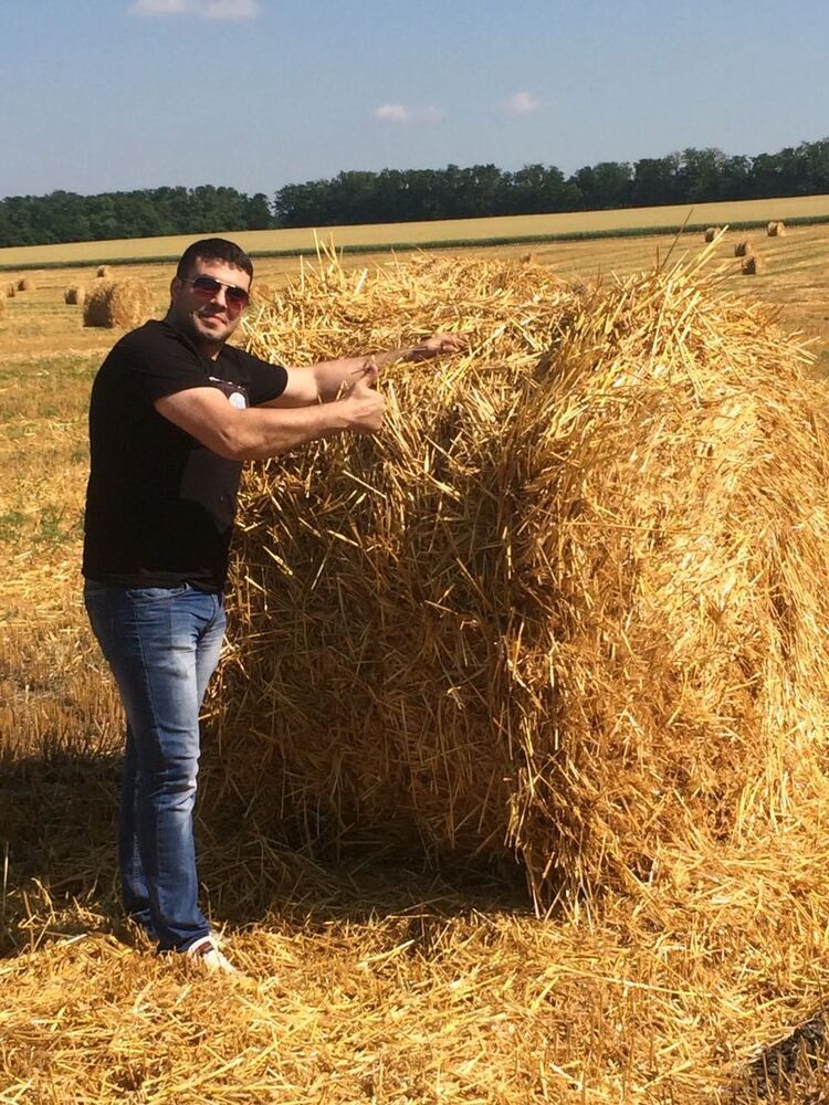 ���� 10663985 ������� �����, 44 ����, ���� ���������� � ����������