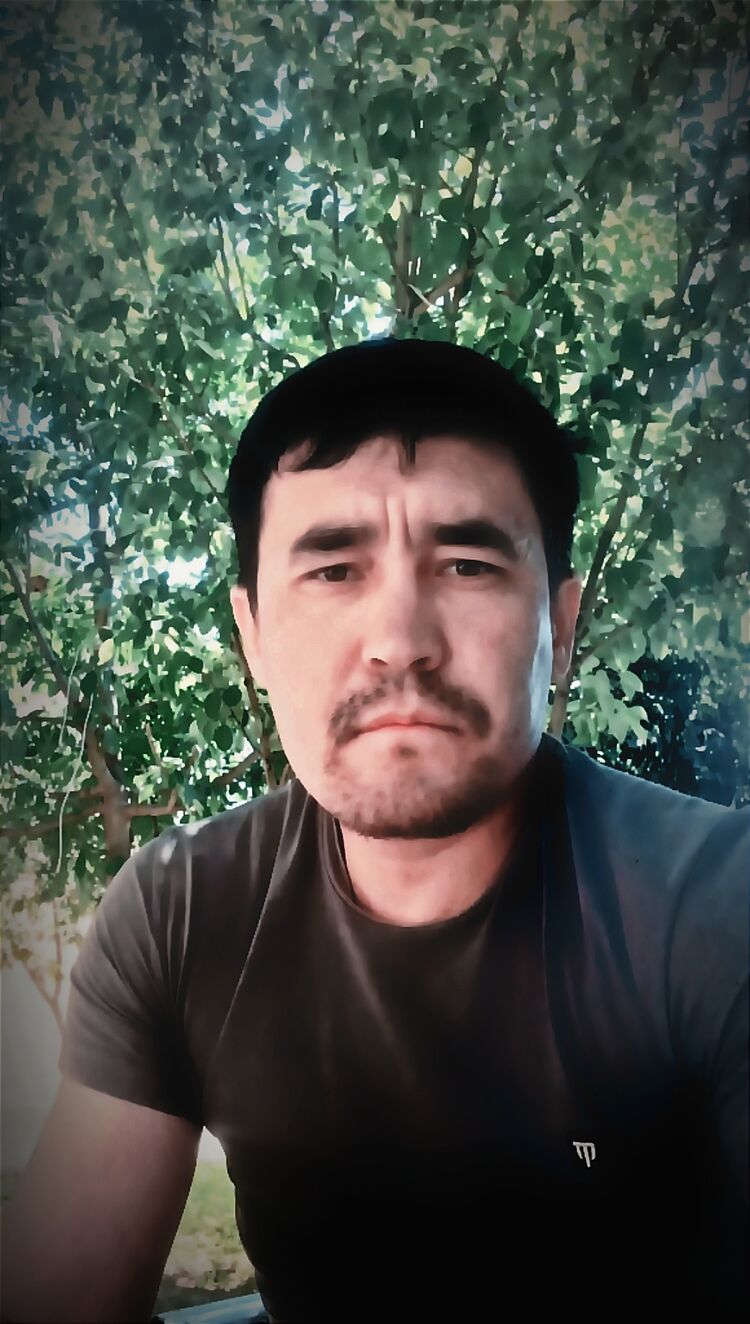  46286555  , 40 ,    