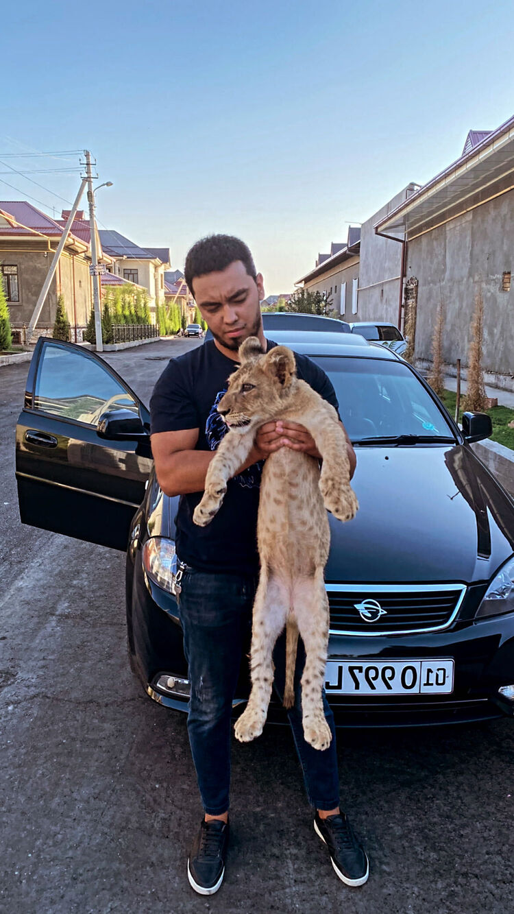 ���������� �������, ���� ������� Zeid, 28 ���, ������������ ��� ������, ����� � ���������