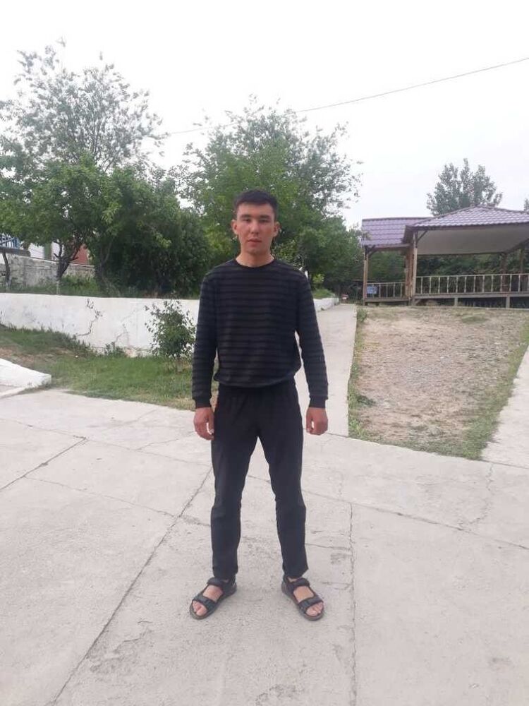  14778475  , 31 ,    